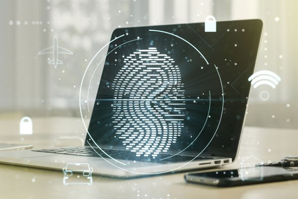 What is Digital Identity Verification?